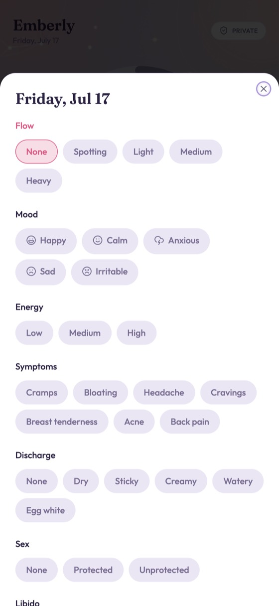 Emberly daily log sheet with flow, mood, and symptom options